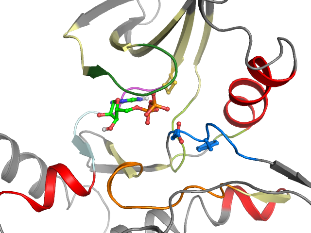 The orthosteric binding pocket