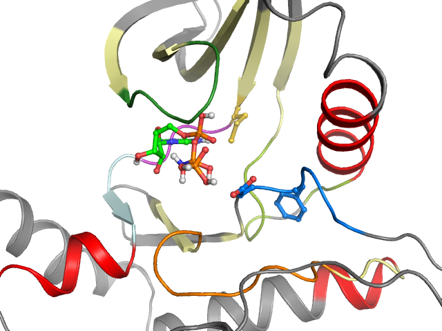 The orthosteric binding pocket