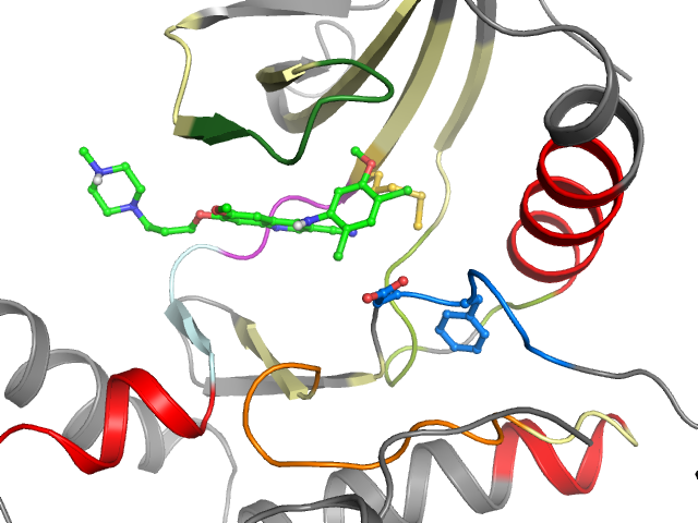 The orthosteric binding pocket