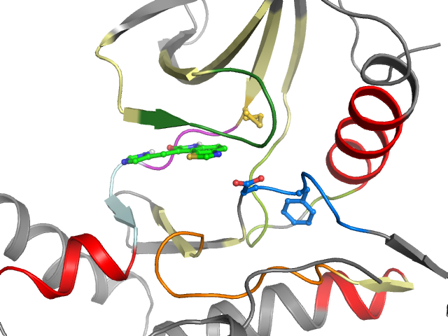 The orthosteric binding pocket