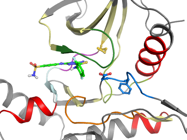 The orthosteric binding pocket