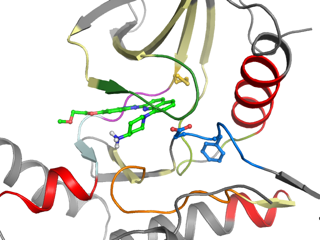 The orthosteric binding pocket