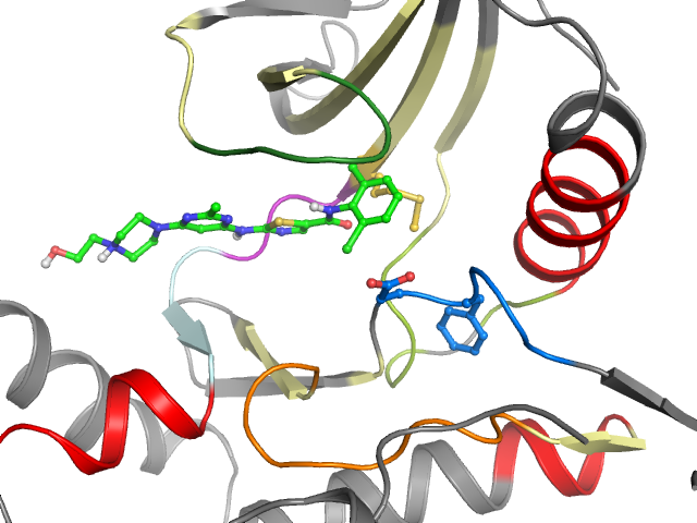 The orthosteric binding pocket