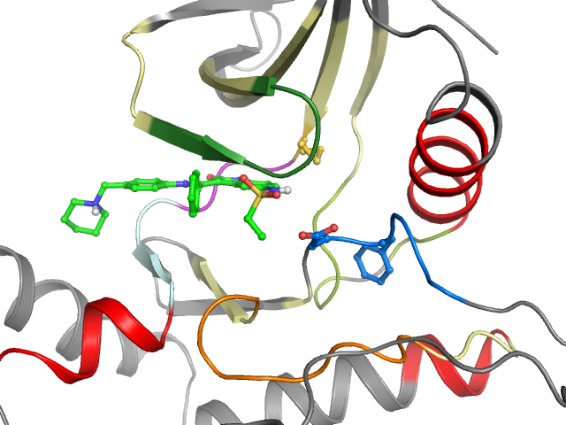The orthosteric binding pocket