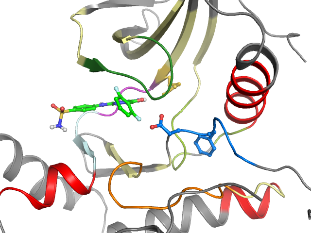 The orthosteric binding pocket