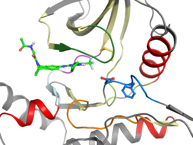 The orthosteric binding pocket
