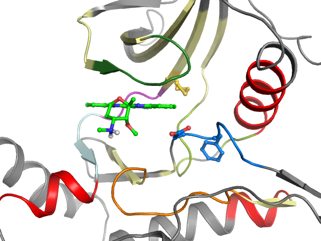 The orthosteric binding pocket