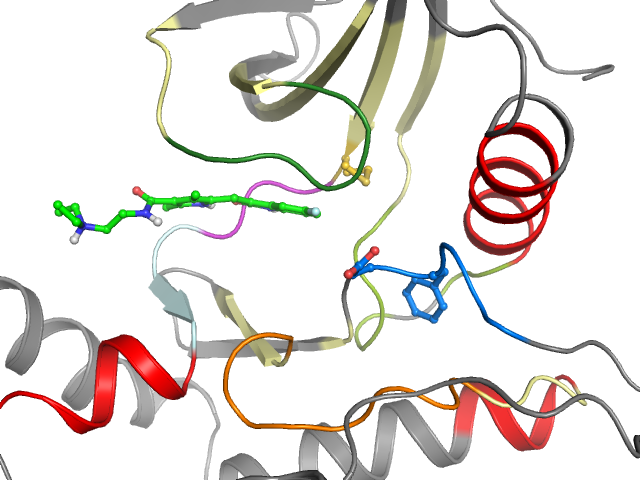 The orthosteric binding pocket