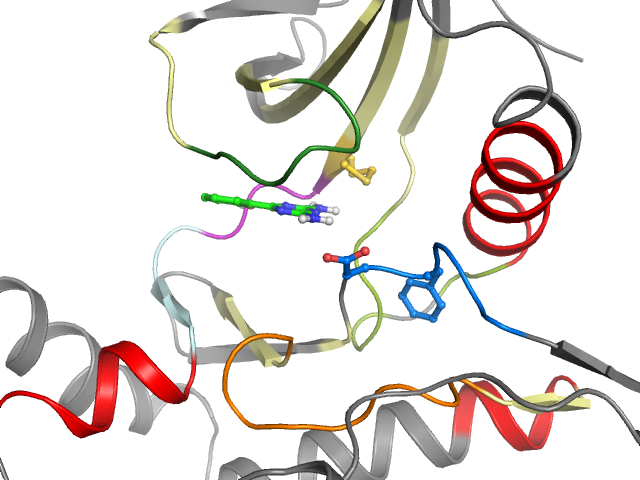 The orthosteric binding pocket