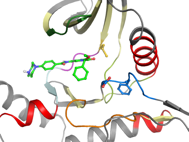 The orthosteric binding pocket