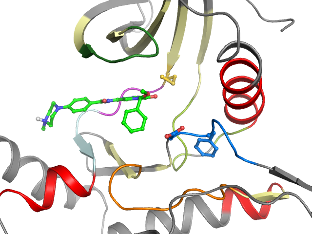 The orthosteric binding pocket