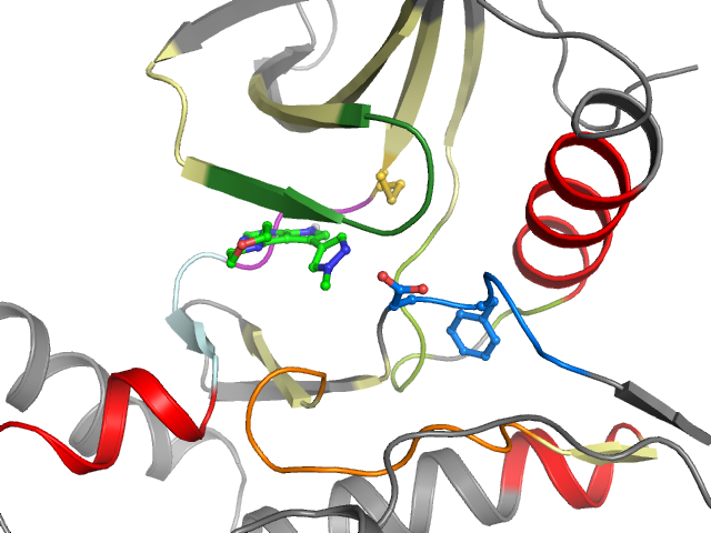 The orthosteric binding pocket