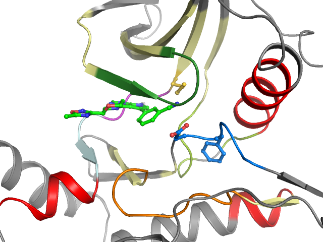The orthosteric binding pocket