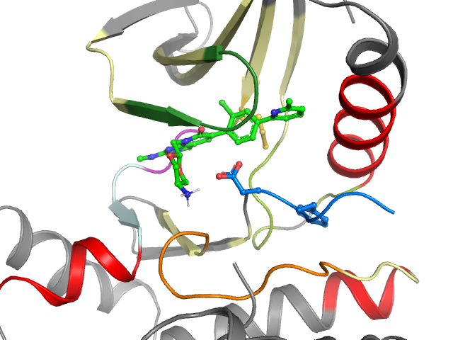 The orthosteric binding pocket