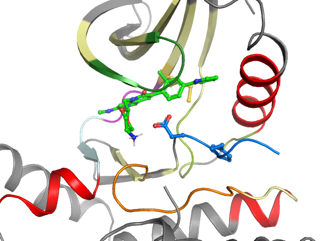 The orthosteric binding pocket