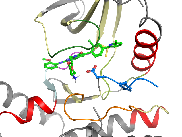 The orthosteric binding pocket