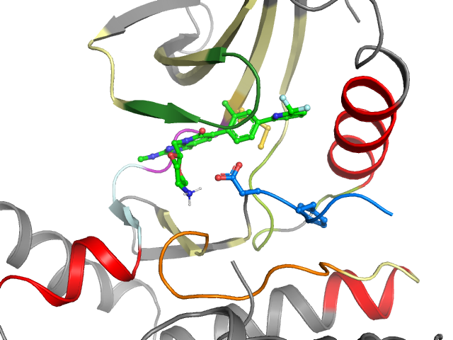 The orthosteric binding pocket