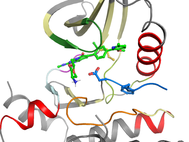 The orthosteric binding pocket