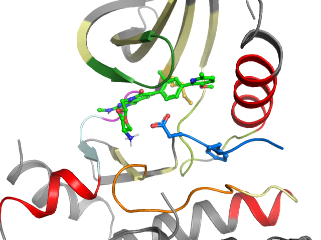 The orthosteric binding pocket