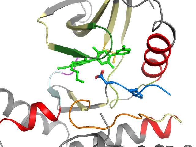 The orthosteric binding pocket