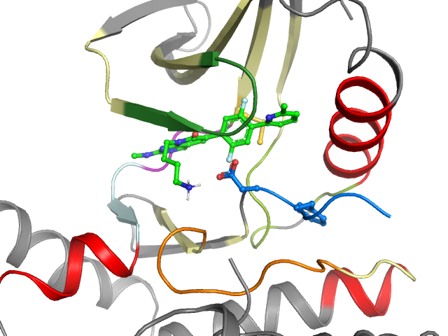 The orthosteric binding pocket
