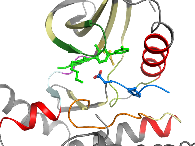 The orthosteric binding pocket