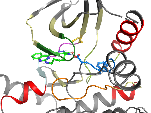The orthosteric binding pocket