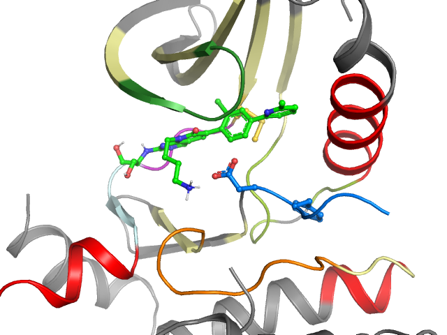 The orthosteric binding pocket