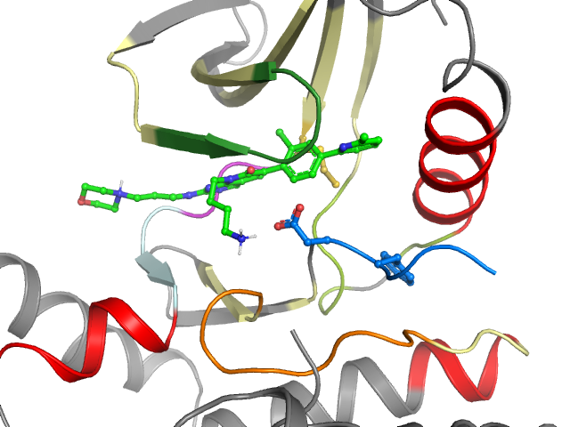 The orthosteric binding pocket
