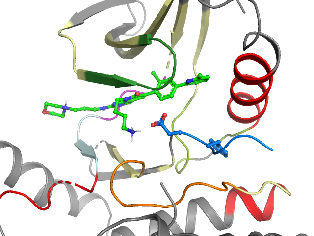The orthosteric binding pocket