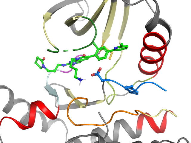 The orthosteric binding pocket