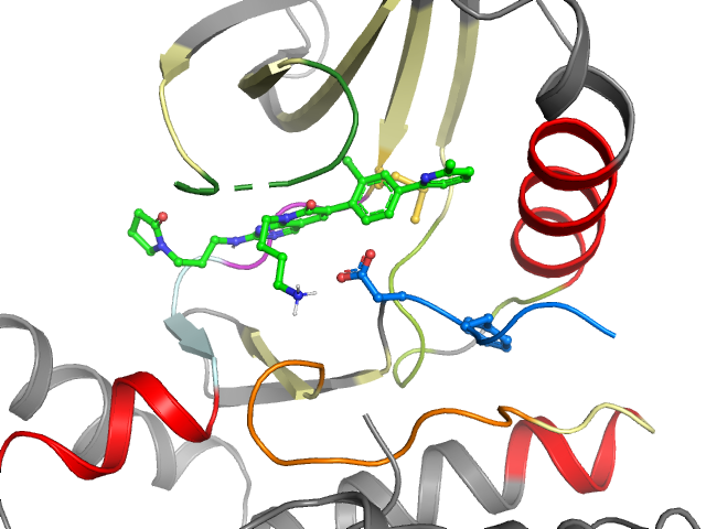 The orthosteric binding pocket