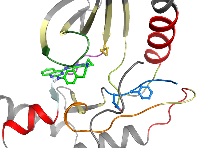 The orthosteric binding pocket