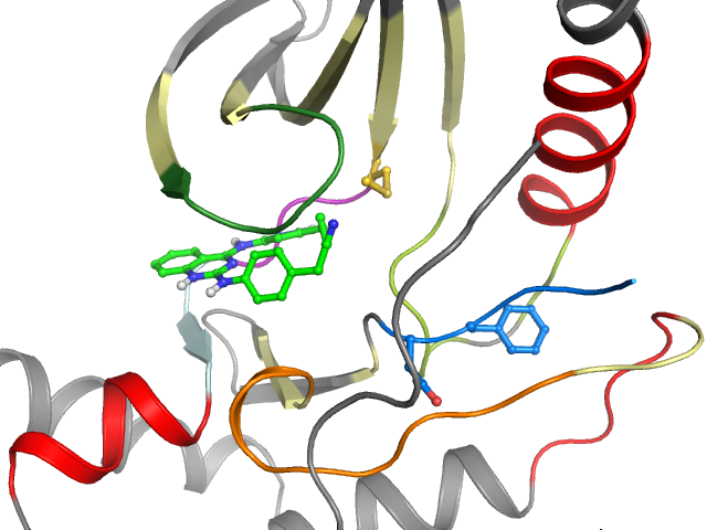 The orthosteric binding pocket
