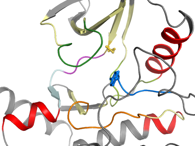The orthosteric binding pocket