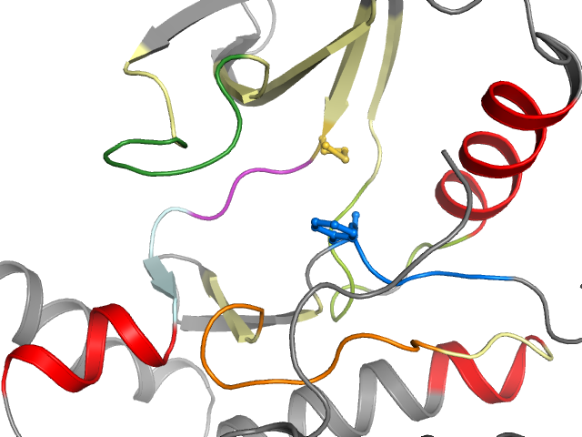 The orthosteric binding pocket