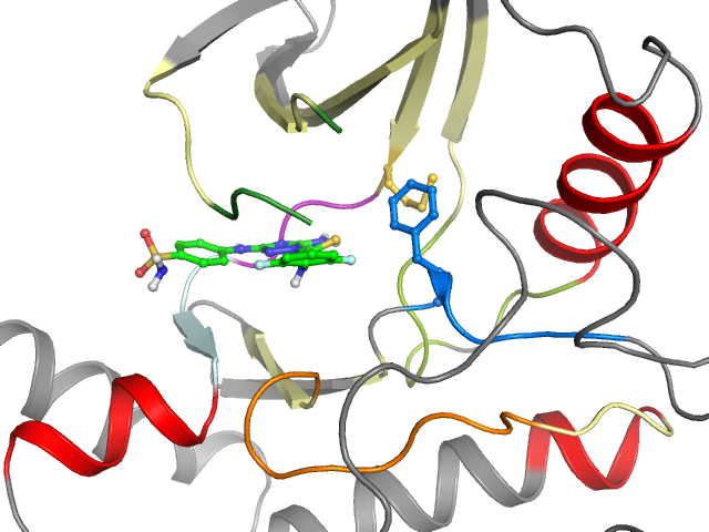 The orthosteric binding pocket