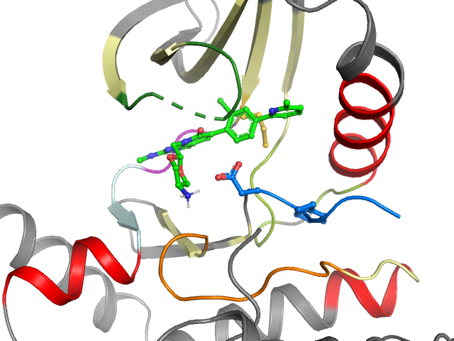 The orthosteric binding pocket