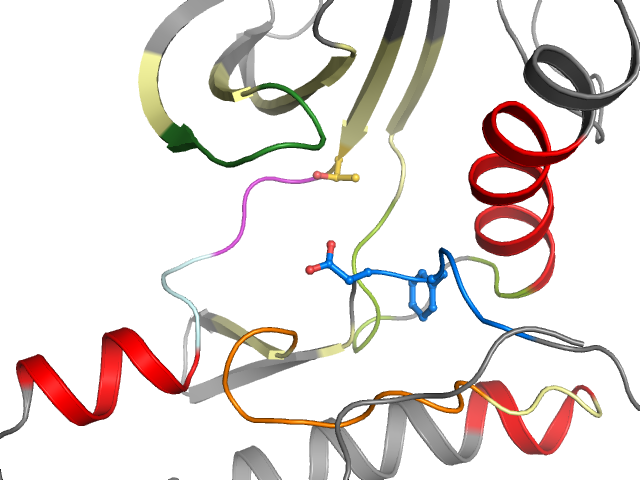 The orthosteric binding pocket