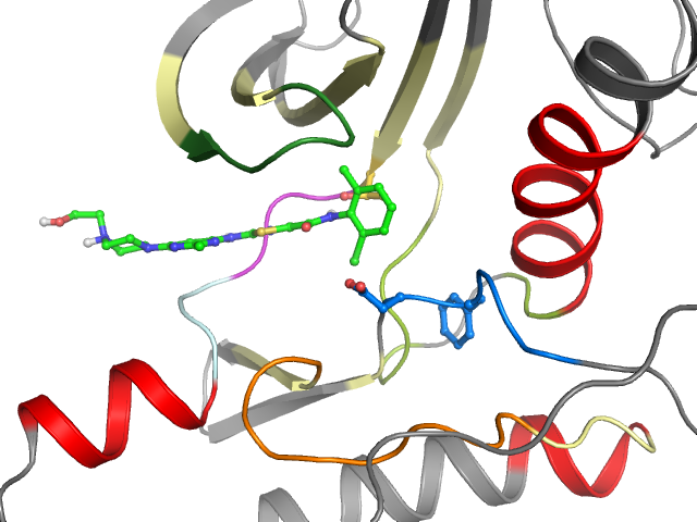The orthosteric binding pocket