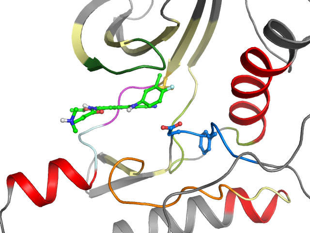 The orthosteric binding pocket