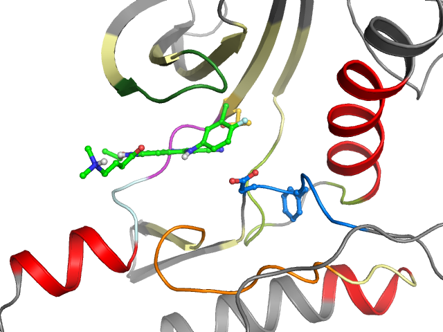 The orthosteric binding pocket