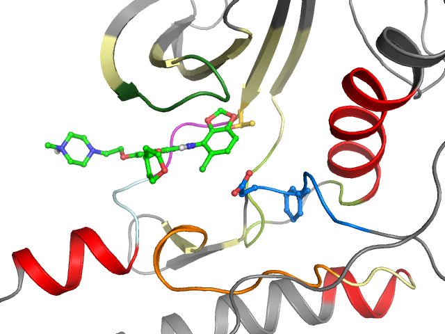 The orthosteric binding pocket