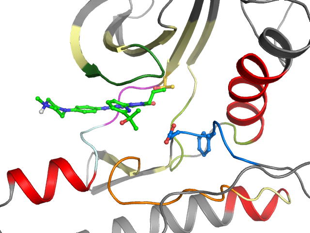 The orthosteric binding pocket