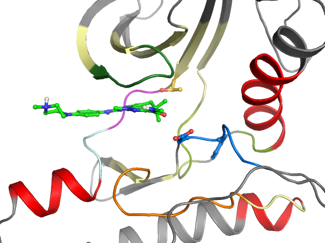 The orthosteric binding pocket