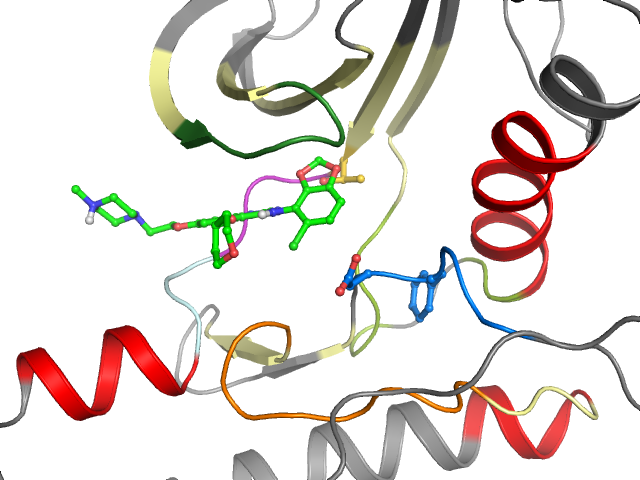 The orthosteric binding pocket