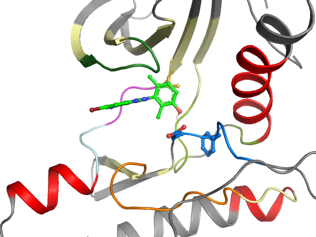 The orthosteric binding pocket