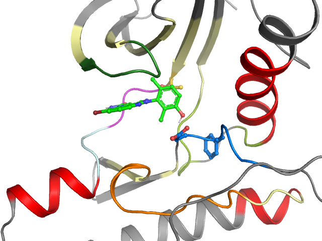 The orthosteric binding pocket