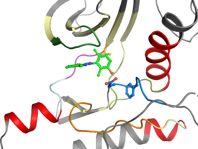 The orthosteric binding pocket
