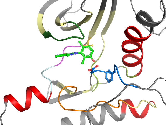 The orthosteric binding pocket